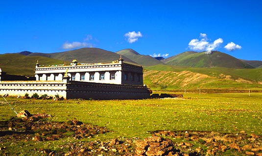 Sela Grassland