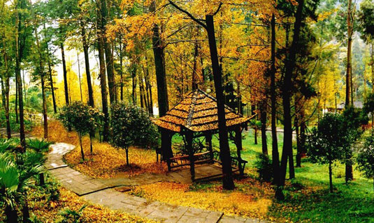 Qingchengshan in Autumn