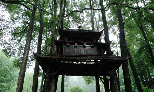 Qingchengshan in Summer