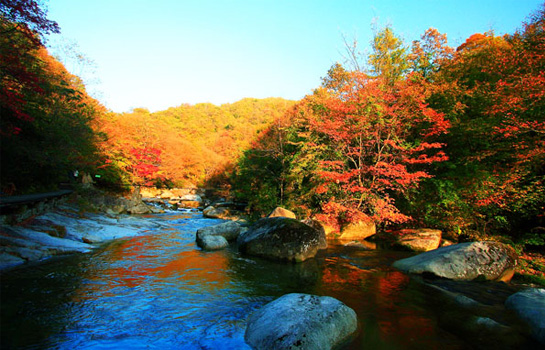 Autumn of Mount Emei