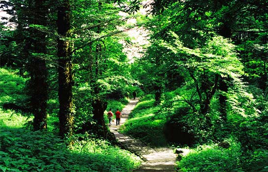 Mount Emei