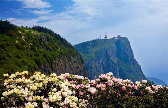 Spring of Mount Emei
