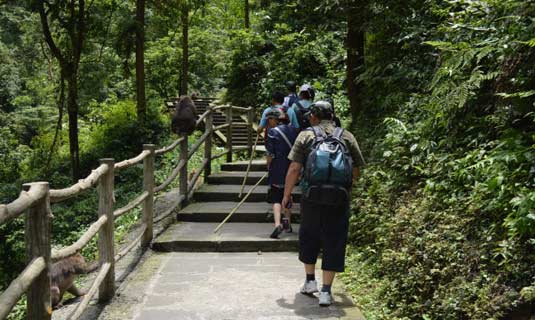 Emeishan Hiking