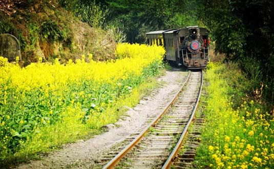 Jiayang Steam Train in Leshan Spring