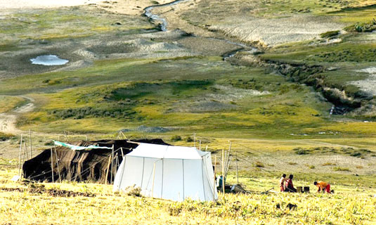 Camping at the Grassland on the road to Lenggu Temple