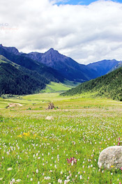 Genie Mountain in Spring
