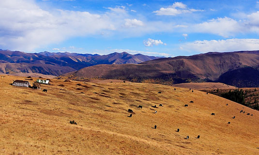 Hupiba