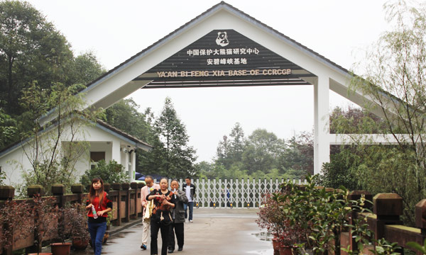Bifengxia Panda Base