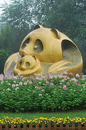Chengdu Panda Base