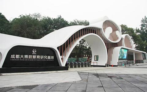 Chengdu Research Base of Giant Panda Breeding Tour: the ultimate guide for 2020