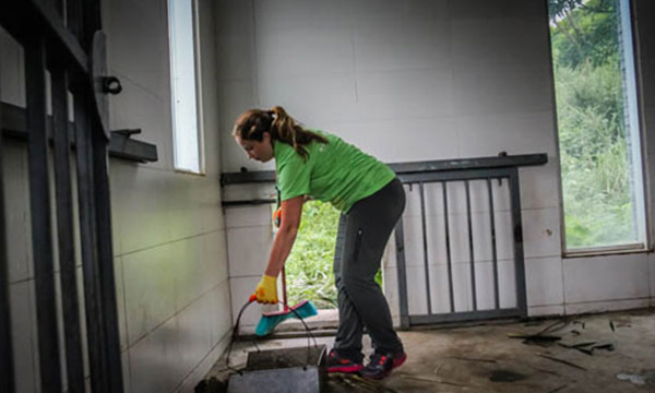 Cleaning Panda Encloser