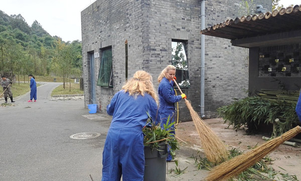 You will experience cleaning bamboo leftovers
