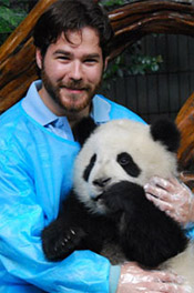 Cuddle Panda in Chengdu
