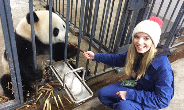 You can join both the Panda Volunteer program and Panda Holding Program.