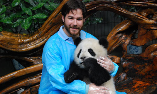 You can hold a panda