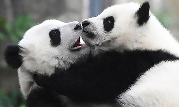 They hugged each and cried in sorrow the black got all over them