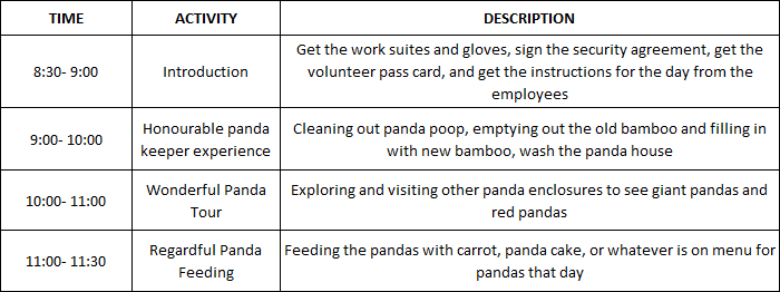 Dujiangyan Panda Valley Panda Volunteer Job Schedule in Morning