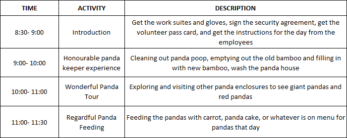 Wolong Panda Reserve Panda Volunteer Job Schedule in morning