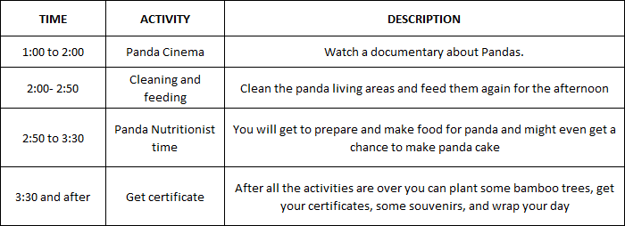 Dujiangyan Panda Valley Panda Volunteer Job Schedule in the afternoon