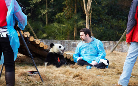 Experience to Meet a Panda in China