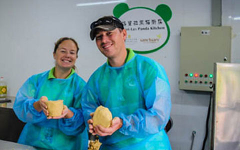 Panda Volunteer Program - The 2 Best Places to Do Giant Panda Volunteer Job in the World