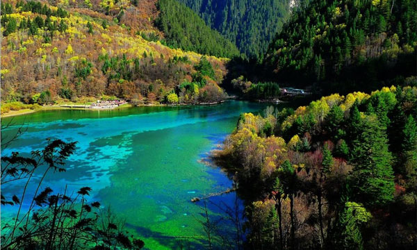 The scenery in autumn makes everything picture perfect