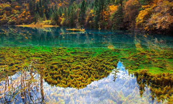 Autumn is the best season to visit Jiuzhaigou