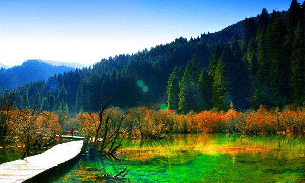 Erdaohai Lakes have flowers and plants growing up inside the lakes