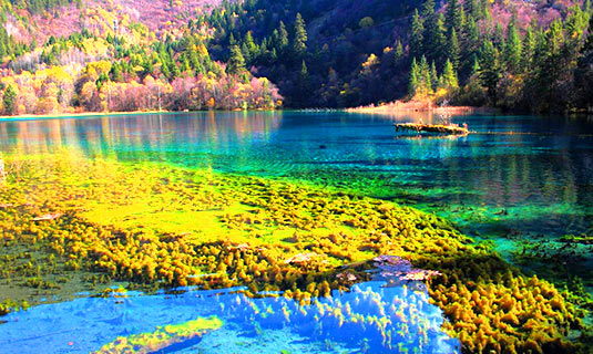 Five Flowers Lake