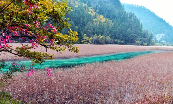 Flower Lake is one of the most adorable lakes in Mounigou