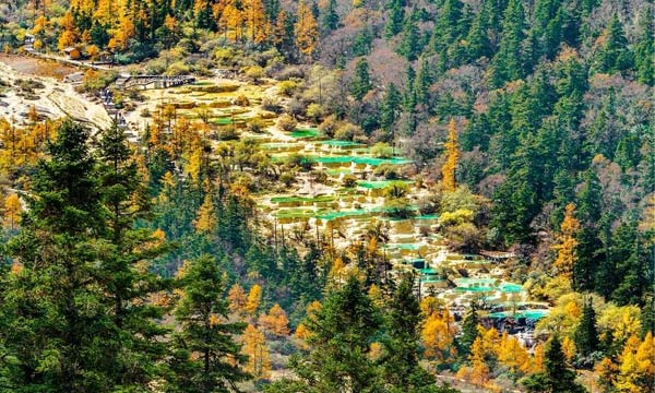 Huanglong’s landscape looks like a golden dragon arching across the valley