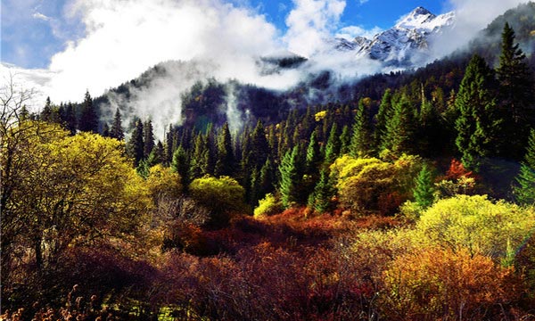 Golden River Valley in Baima Wanglang