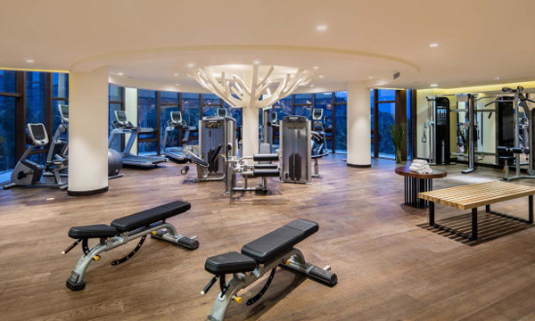 Gym in Banyan Tree