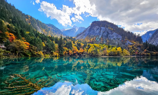 Autumn colorful forests and turquoise lake in Jiuzhaigou National Park China