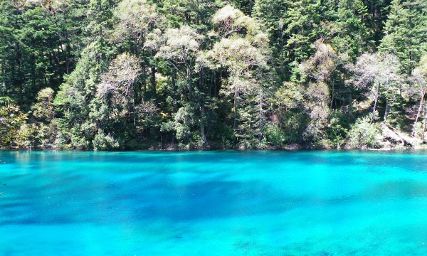 Jiuzhaigou in Middle September