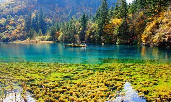 Pictursque scenery in Jiuzhaigou