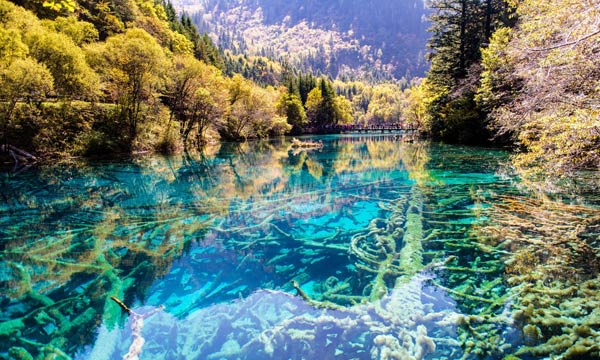 jiuzhaigou scenery