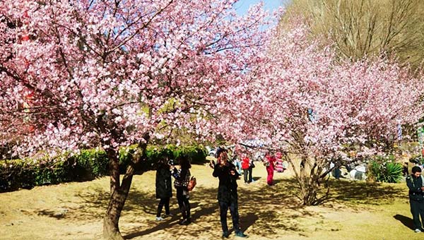 Jiuzhaigou in Spring