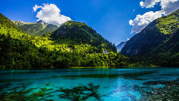 Jiuzhaigou in June