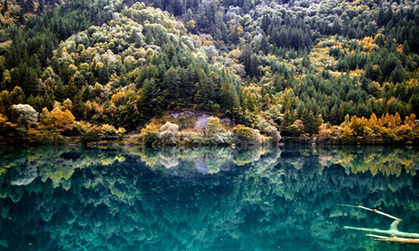 mirror lake jiuzhaigou