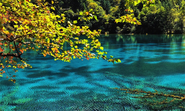 Jiuzhaigou morning scenery with clear lake and forest reflections