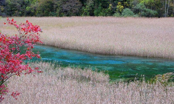 Reed Lake