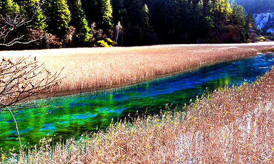 Reed Lake