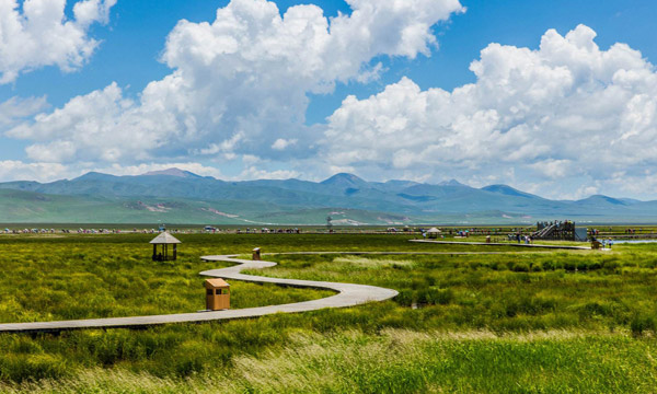Ruoergai Prairie