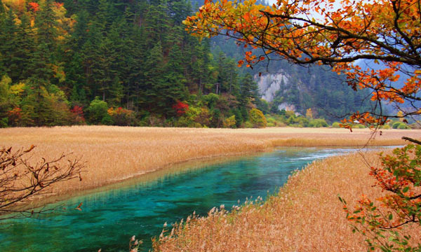 You would be shocked by the landscape of Jiuzhaigou