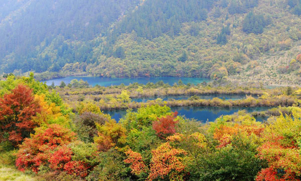 Shuzheng Lake Group