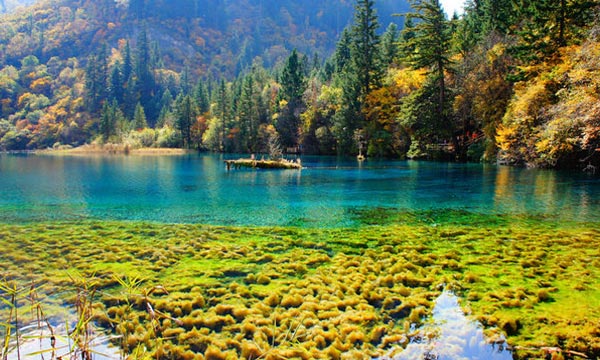 Splendid lakes in Jiuzhaigou