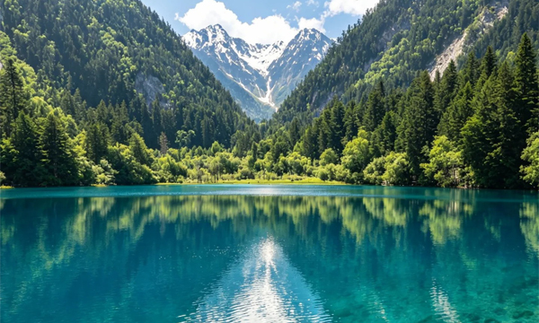 Jiuzhaigou summer landscape with lush forests and turquoise lake