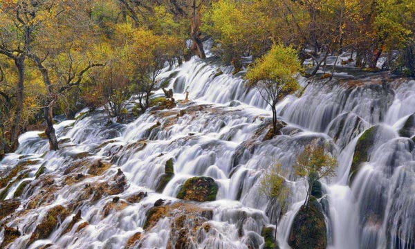 Surging waterfall in Jiuzhaigou