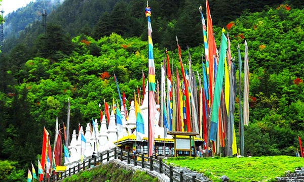 The Benbo and Tibetan Buddhists worship and make sacrifices to natural Gods. 